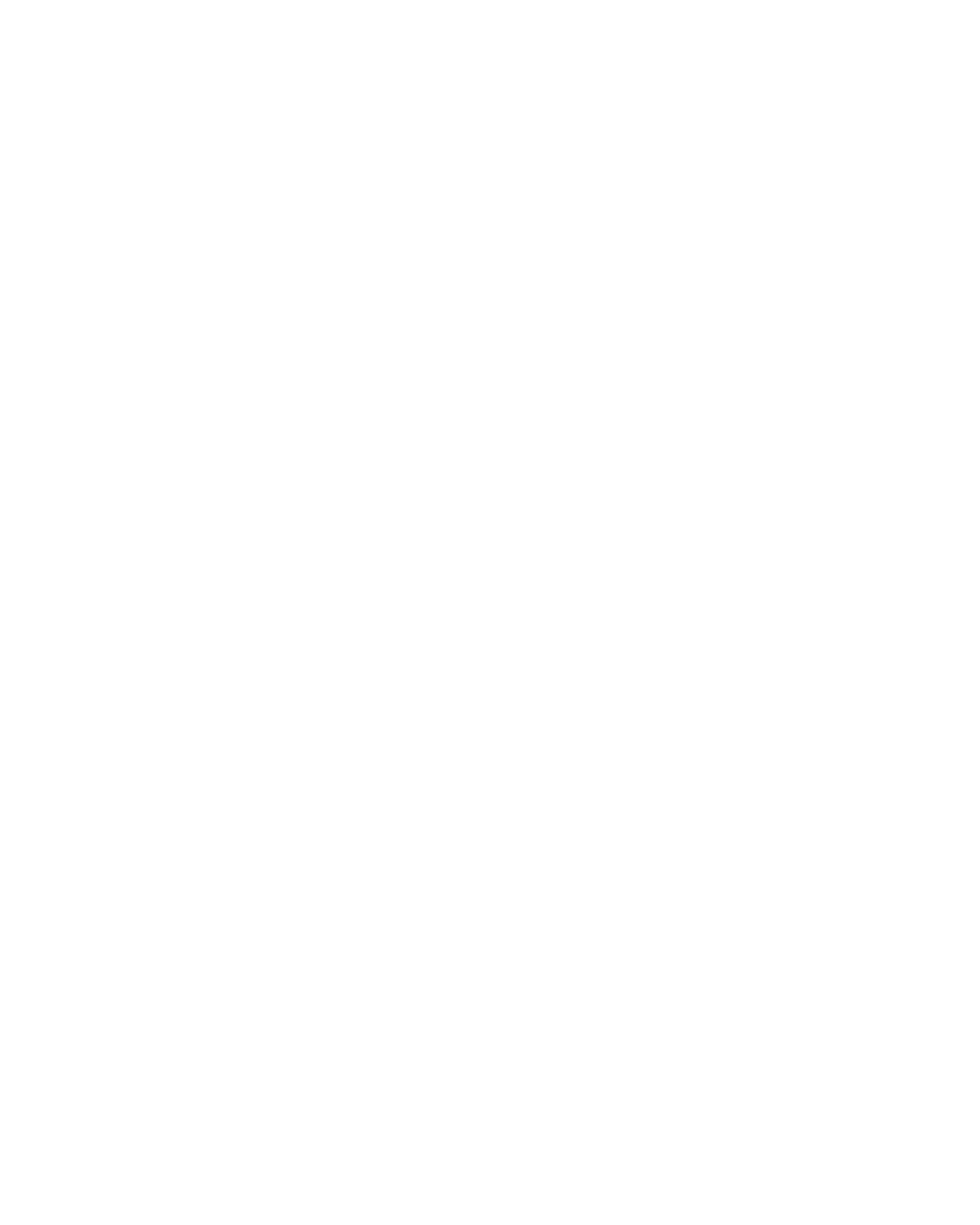 Trash Panda Pictures team portrait
